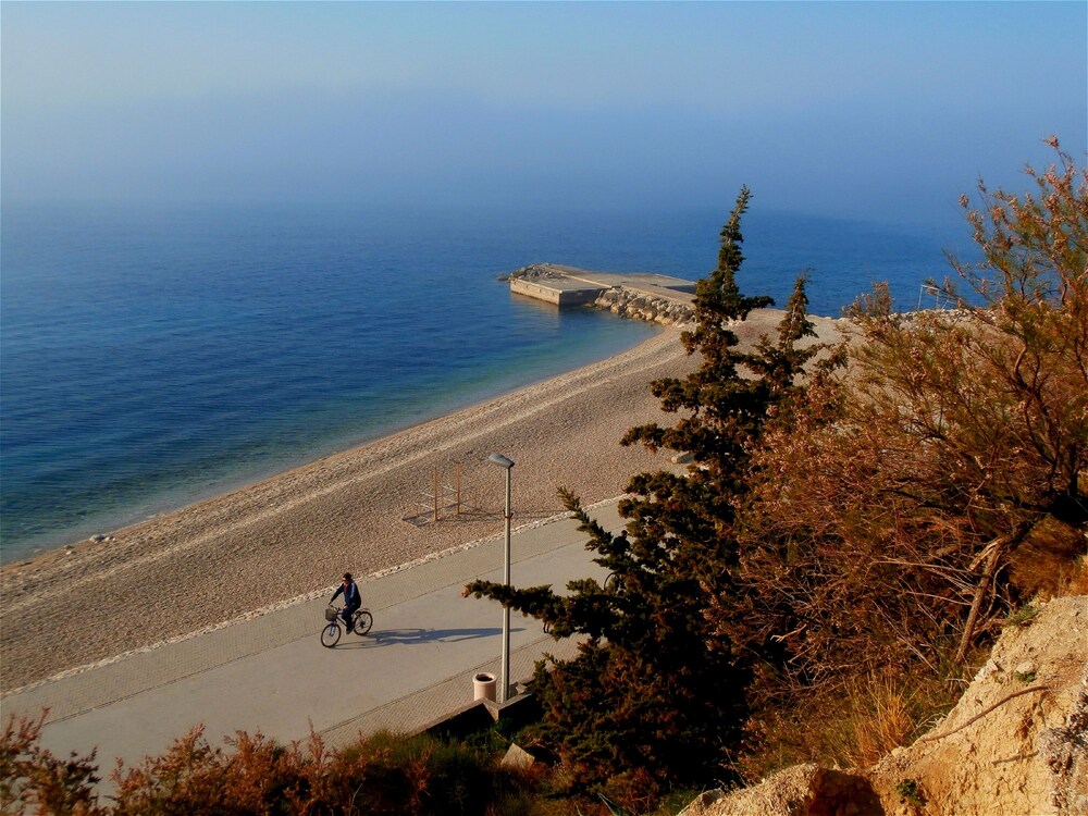 해변