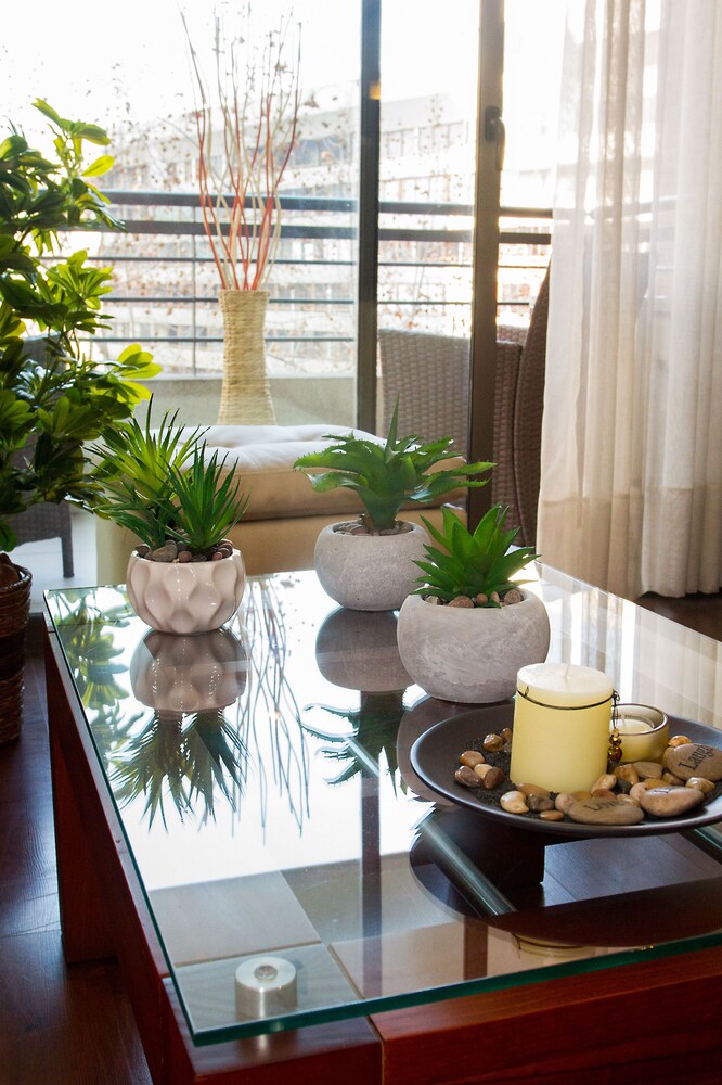 Apartment - Living Area