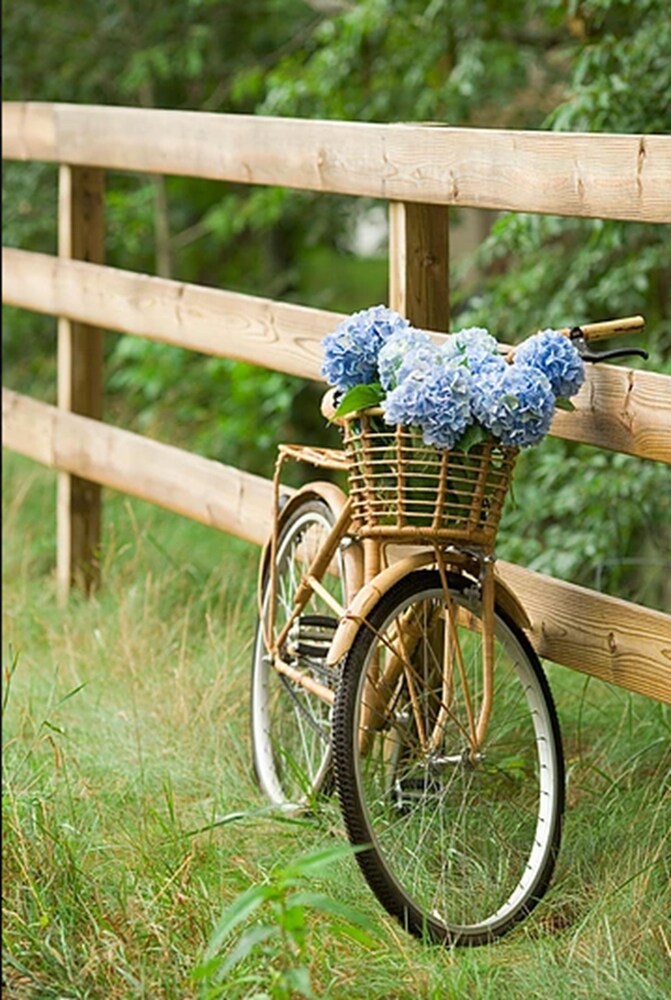 Bicycling