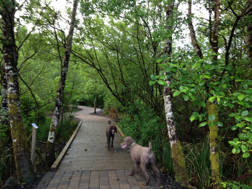 Hiking