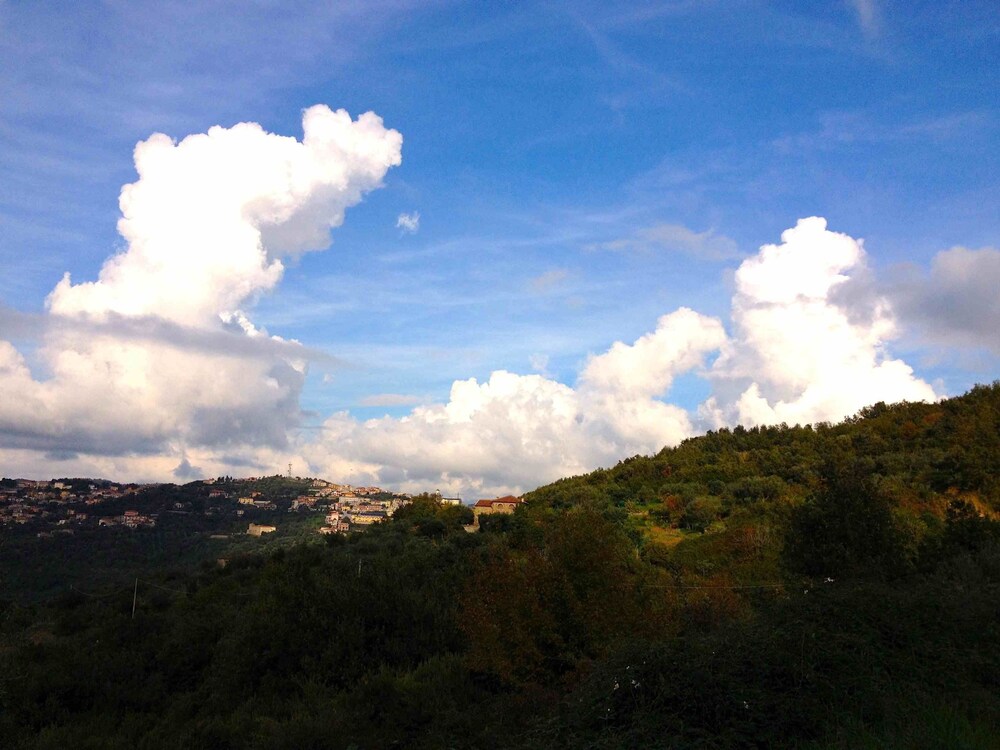 Vista dall'hotel