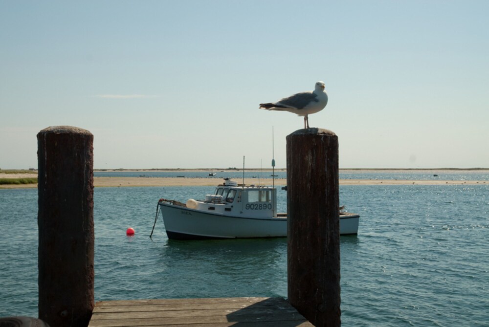 Dock