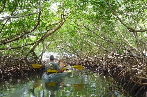 Kayaking