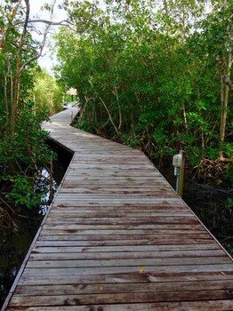 Dock