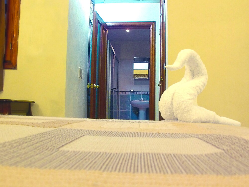 Vista desde la habitación