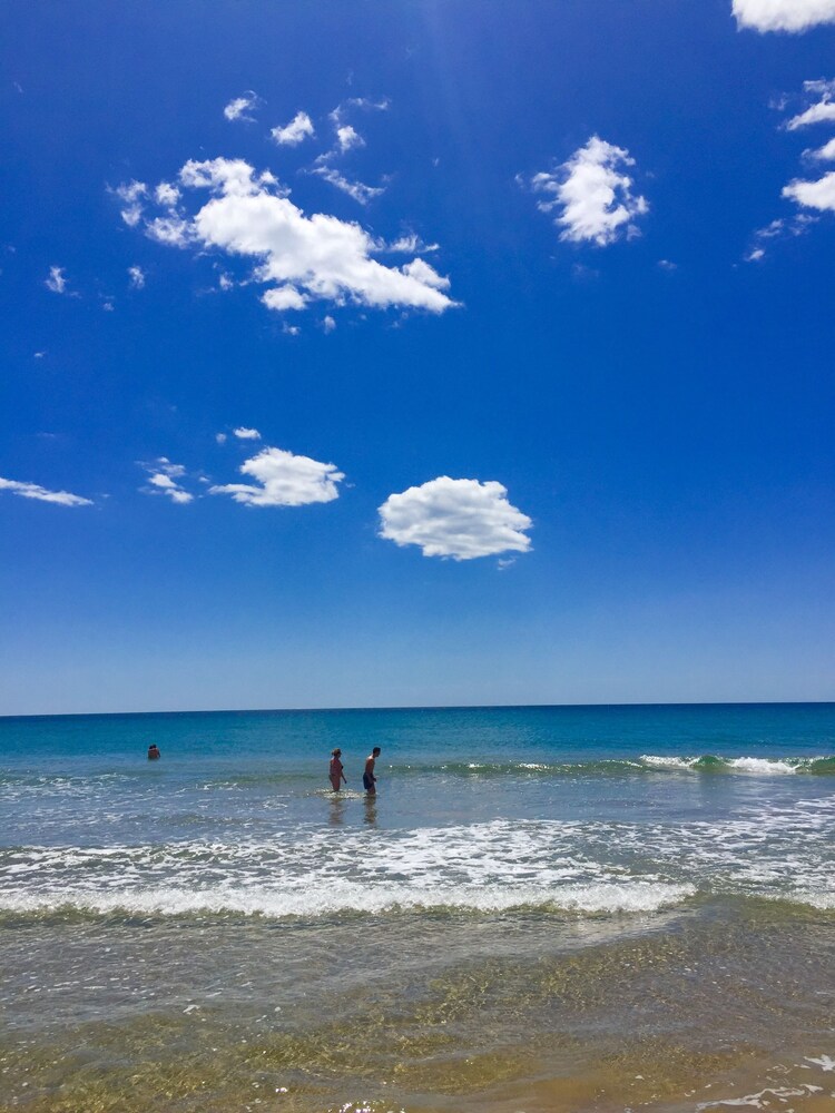 해변