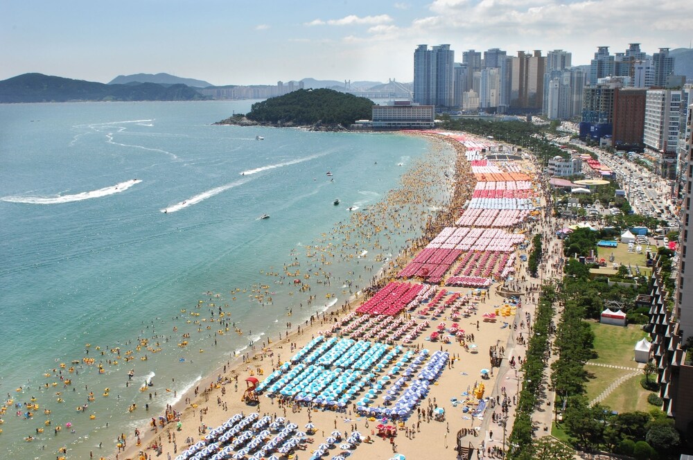 가볼 만한 곳