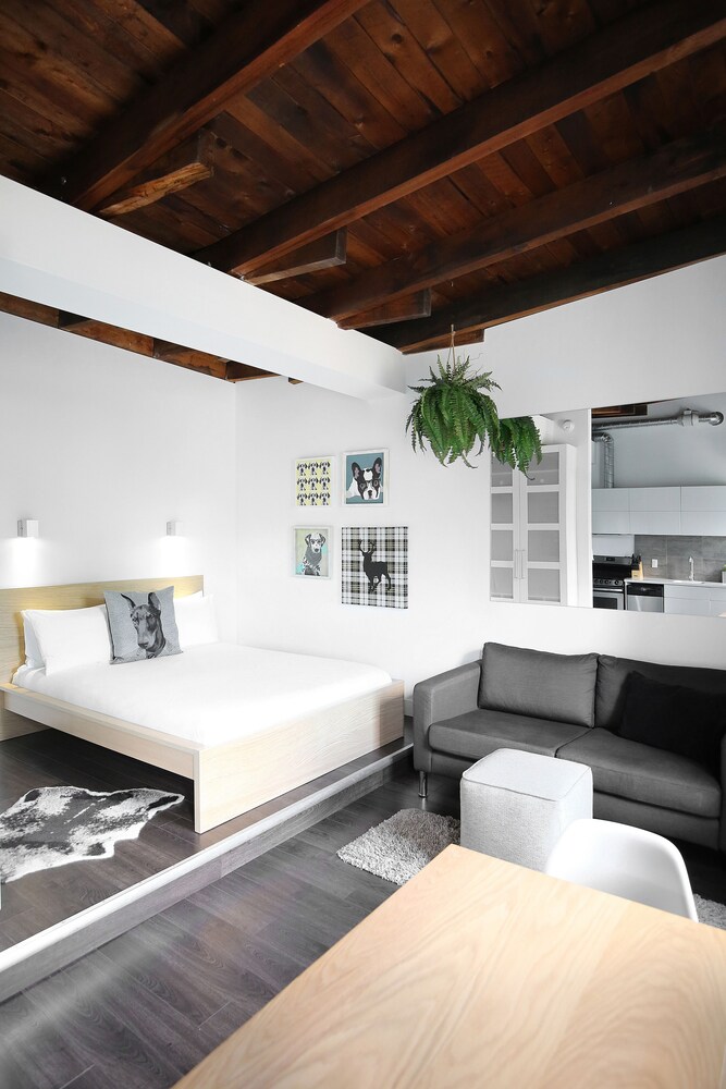 거실 공간 (Studio Apartment (301) )