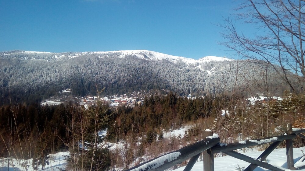 산 전망