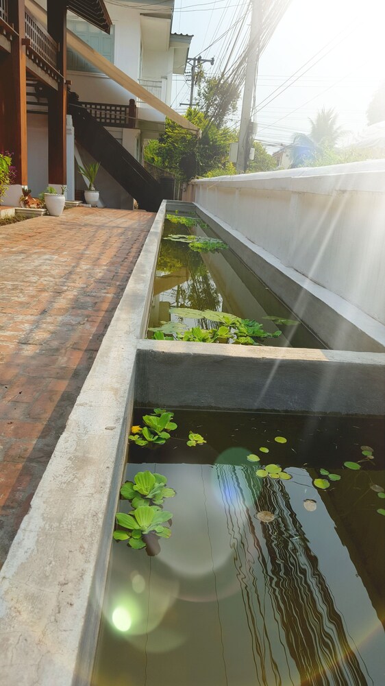 Courtyard View