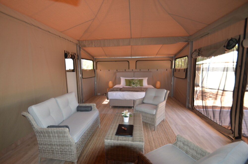 Luxury King Eco Tent with Ensuite - Guestroom