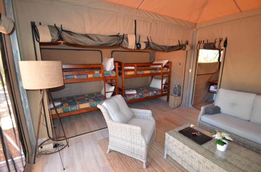 Luxury King Eco Tent with Ensuite - Guestroom