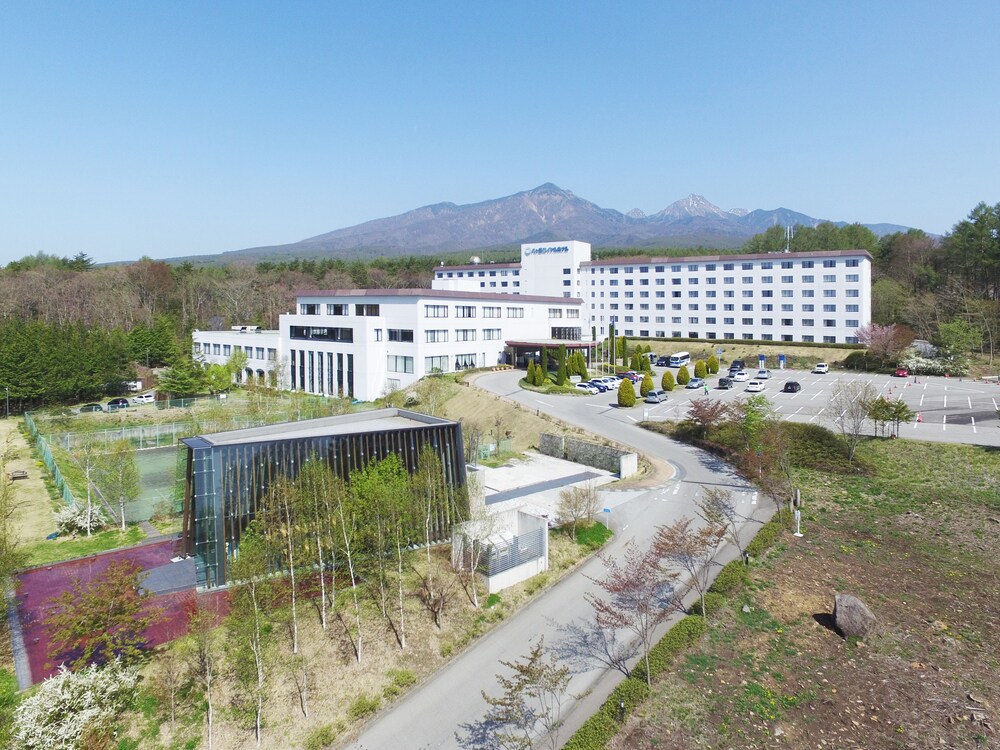 대표 사진