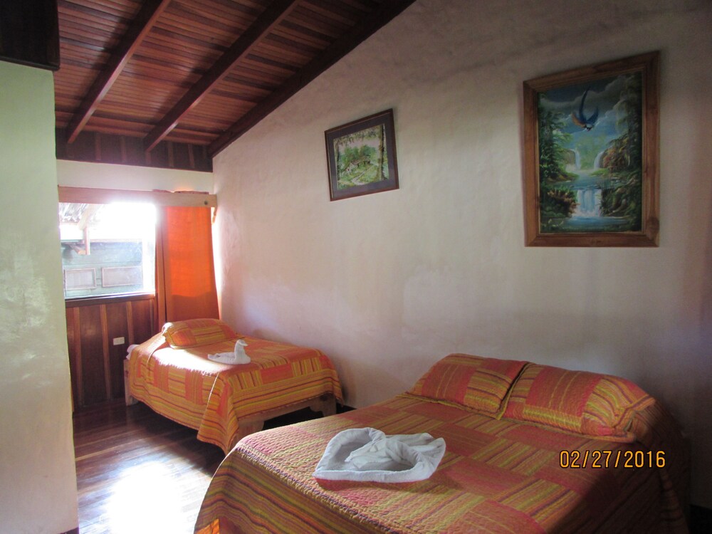 Vista desde la habitación