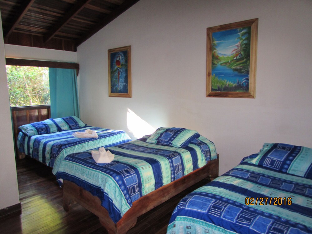 Vista desde la habitación