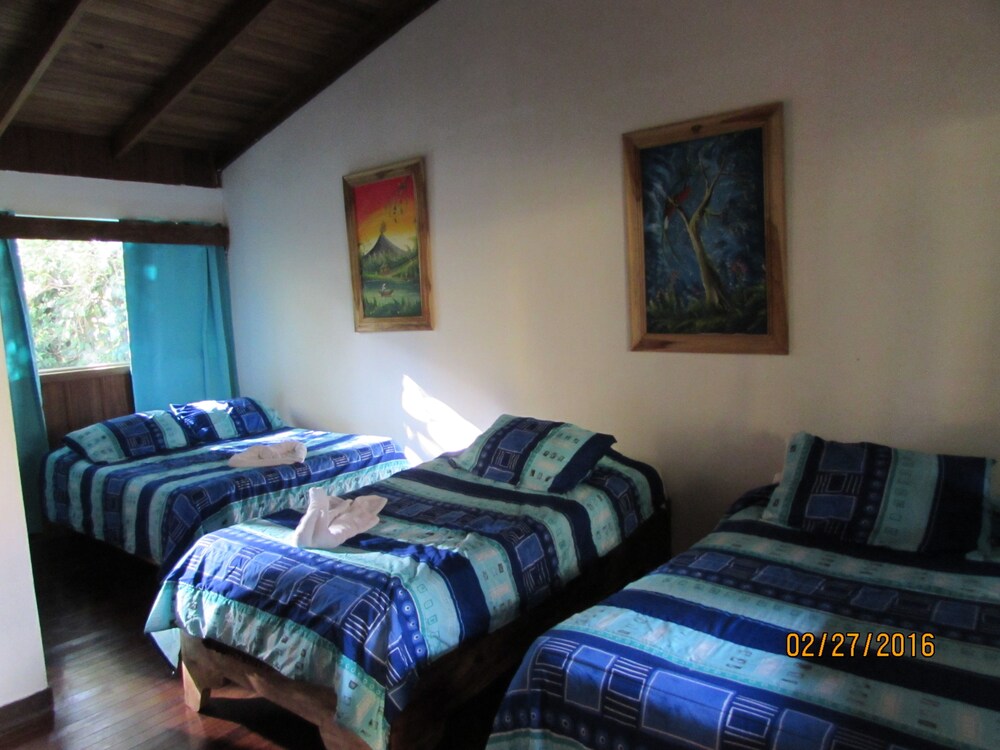 Vista desde la habitación