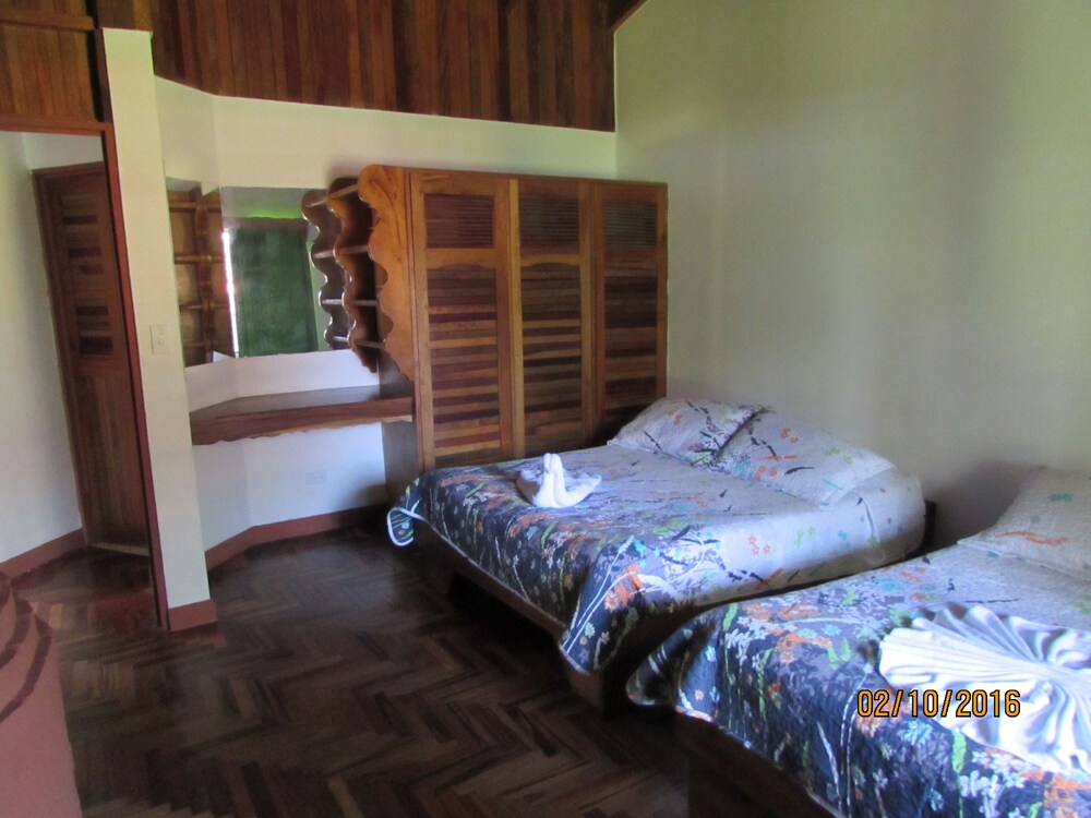 Vista desde la habitación