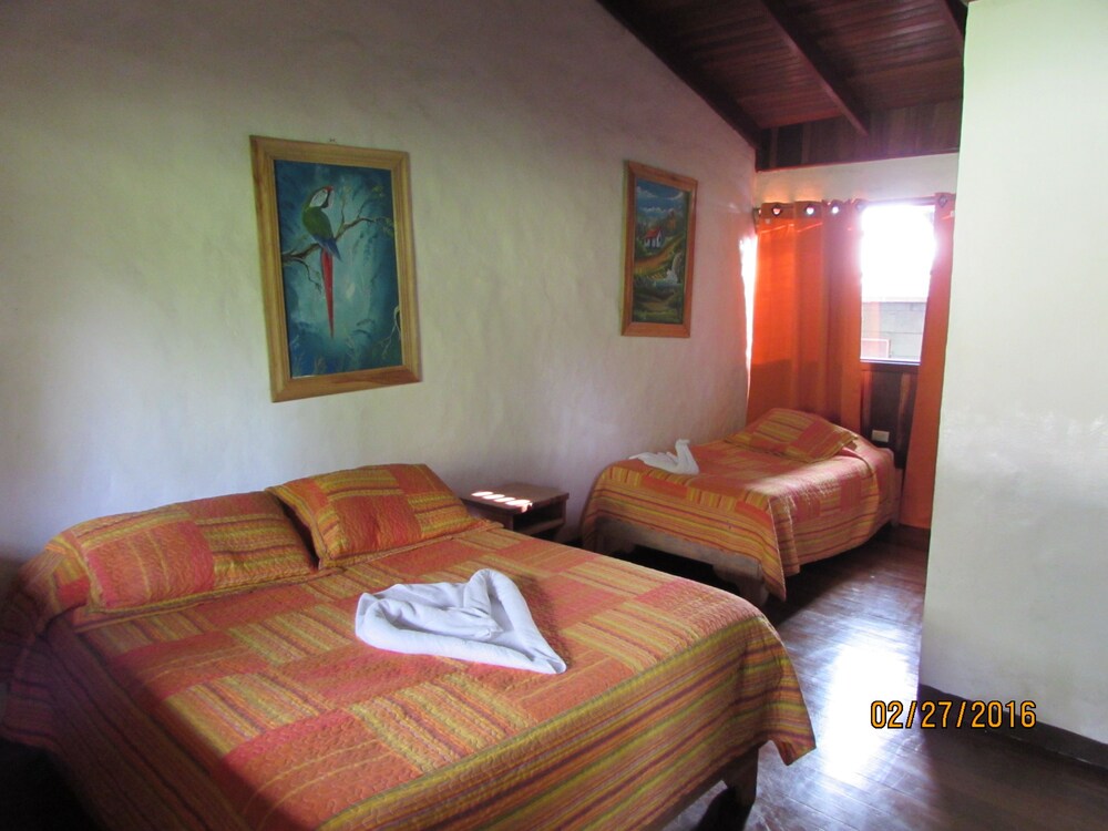 Vista desde la habitación