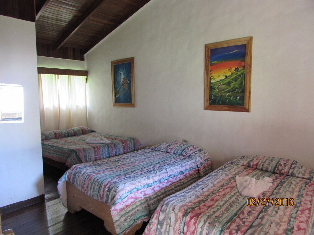Vista desde la habitación