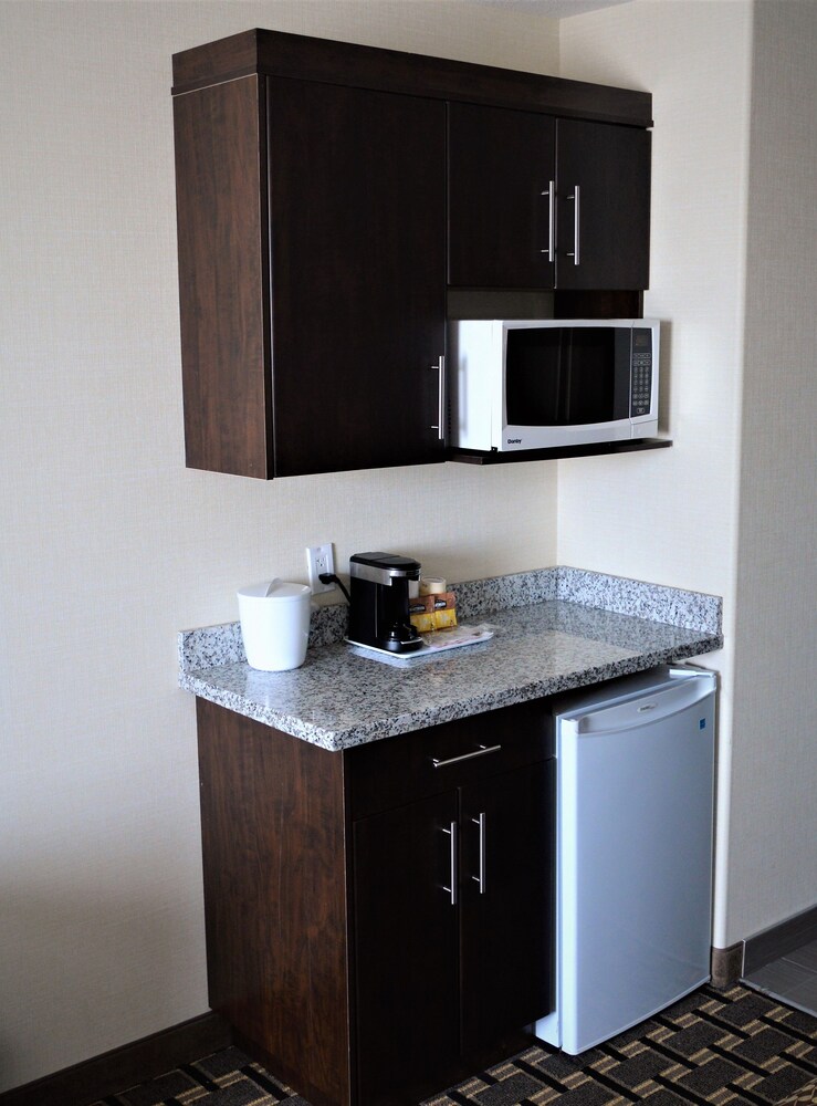 Mini-Refrigerator