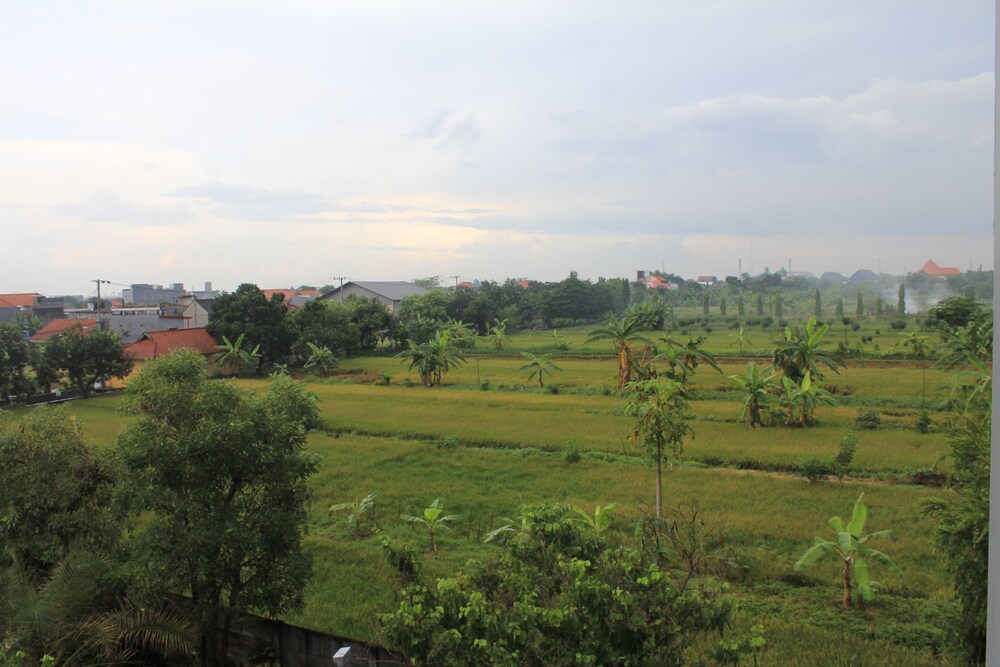 Pemandangan dari Hotel