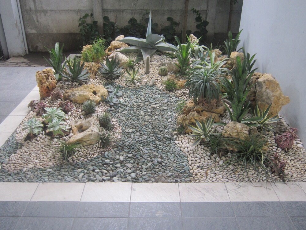 Taman