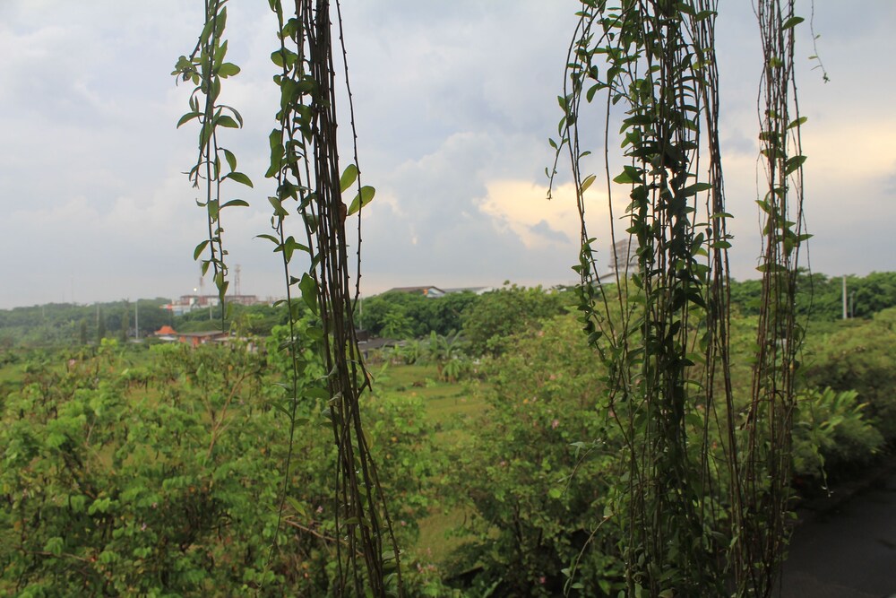 Pemandangan dari Hotel