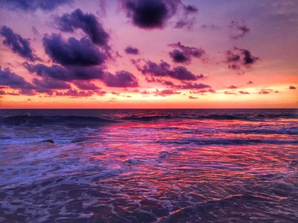 Beach/Ocean View