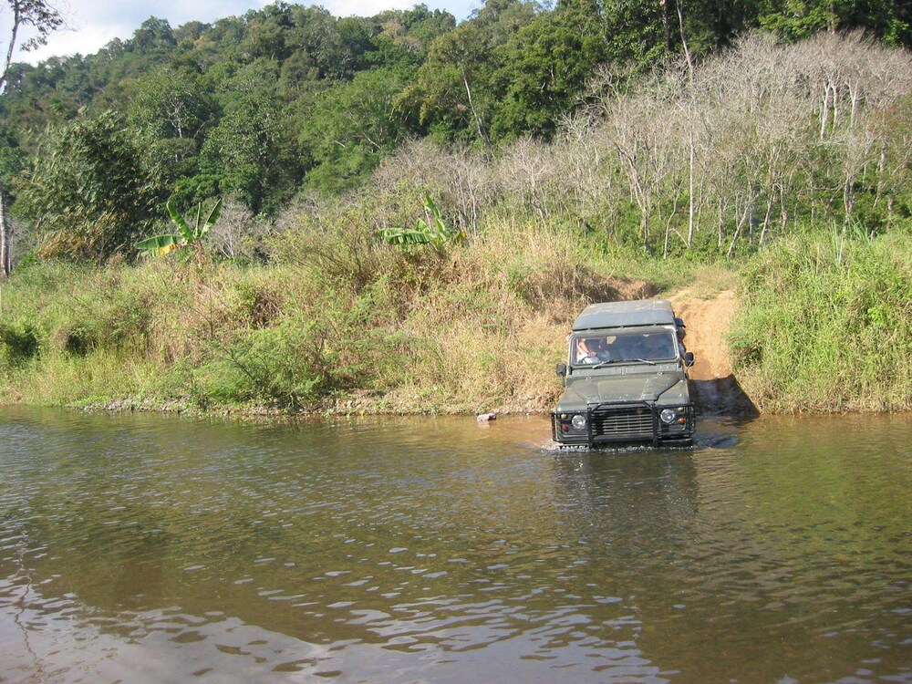 Safari