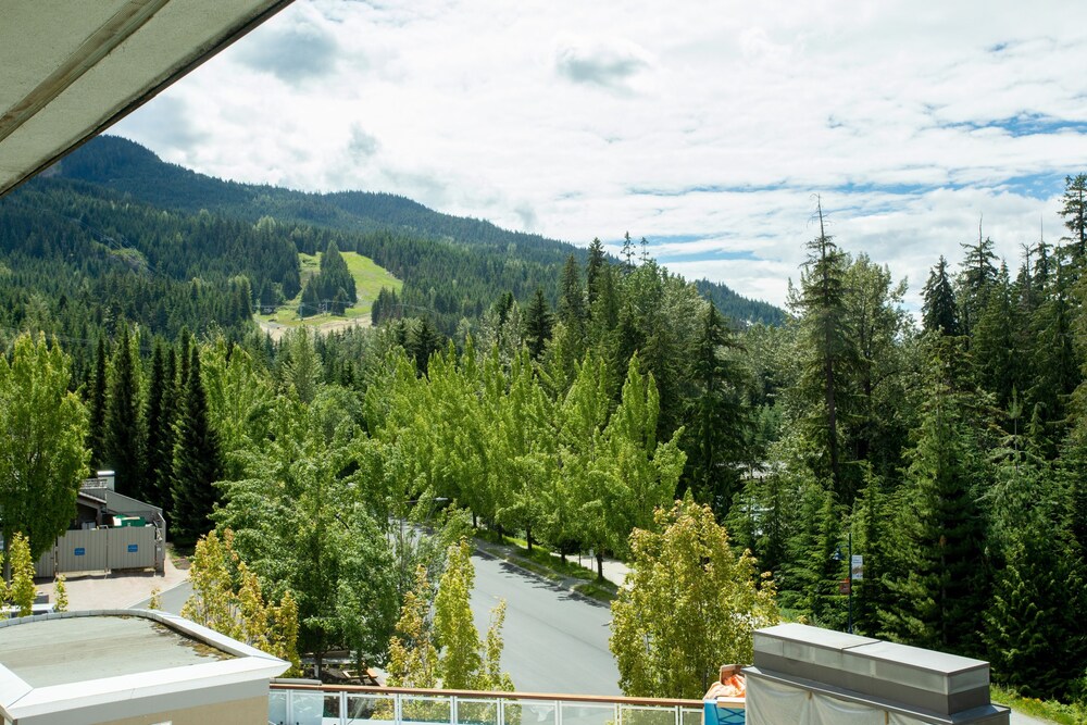 Guestroom View