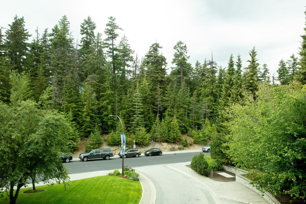 Guestroom View