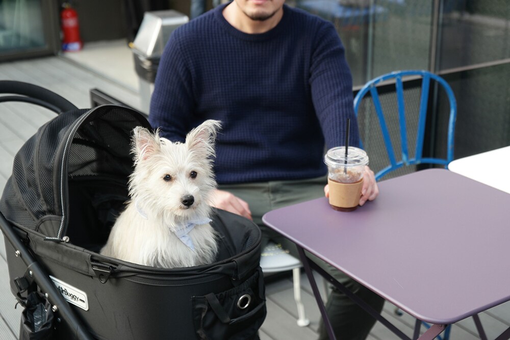 カフェ