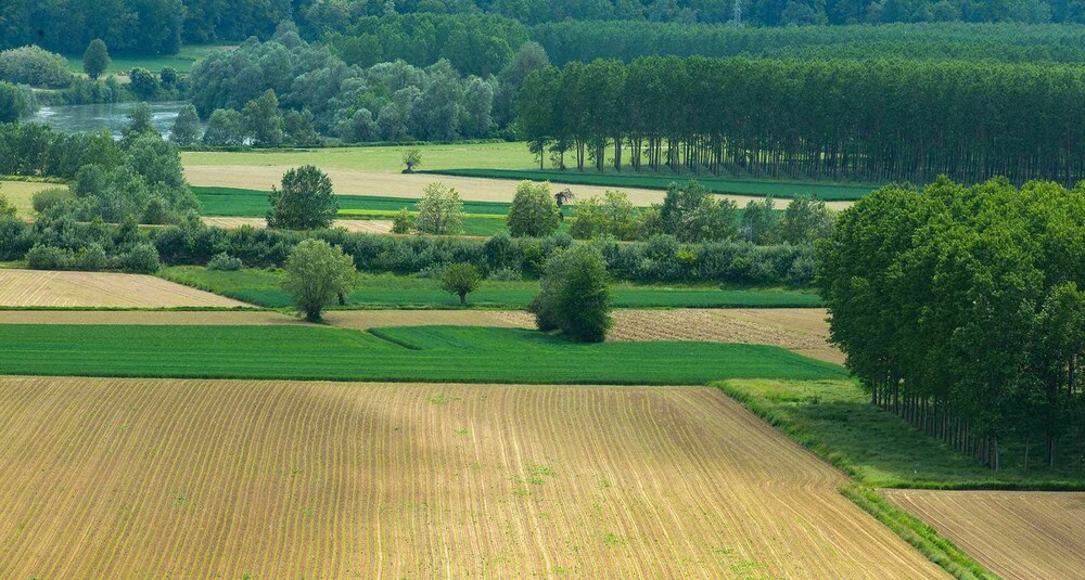 Esterni