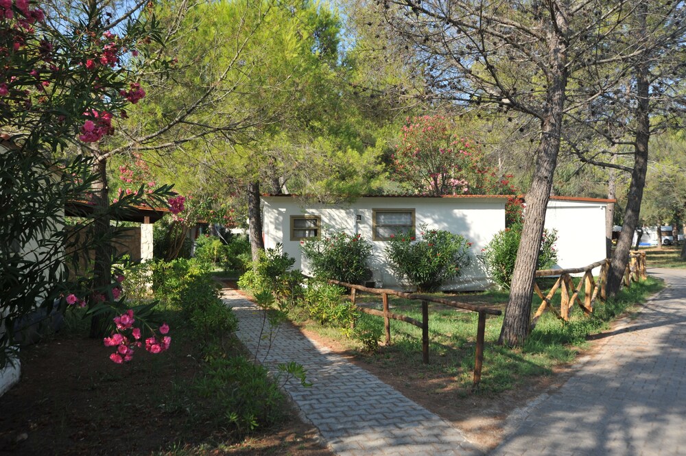 Ingresso interno