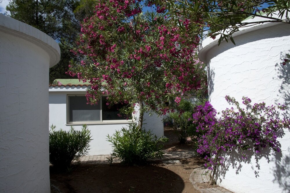 Camera (Bungalow)