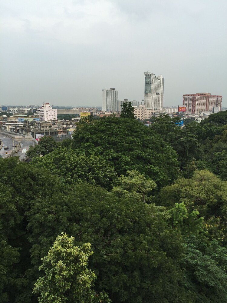정원 전망