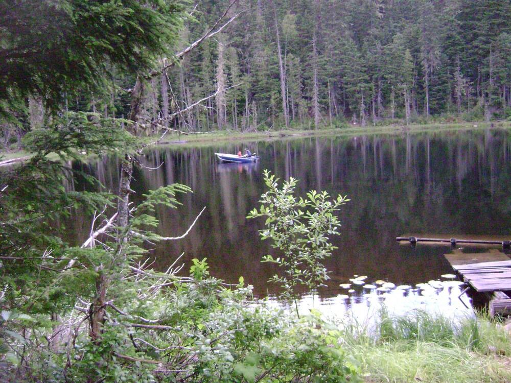 Fishing