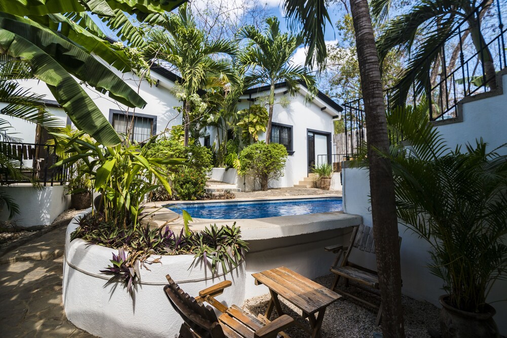 Comfort Apartment, 1 Bedroom, Pool View, Poolside - Terrace/Patio