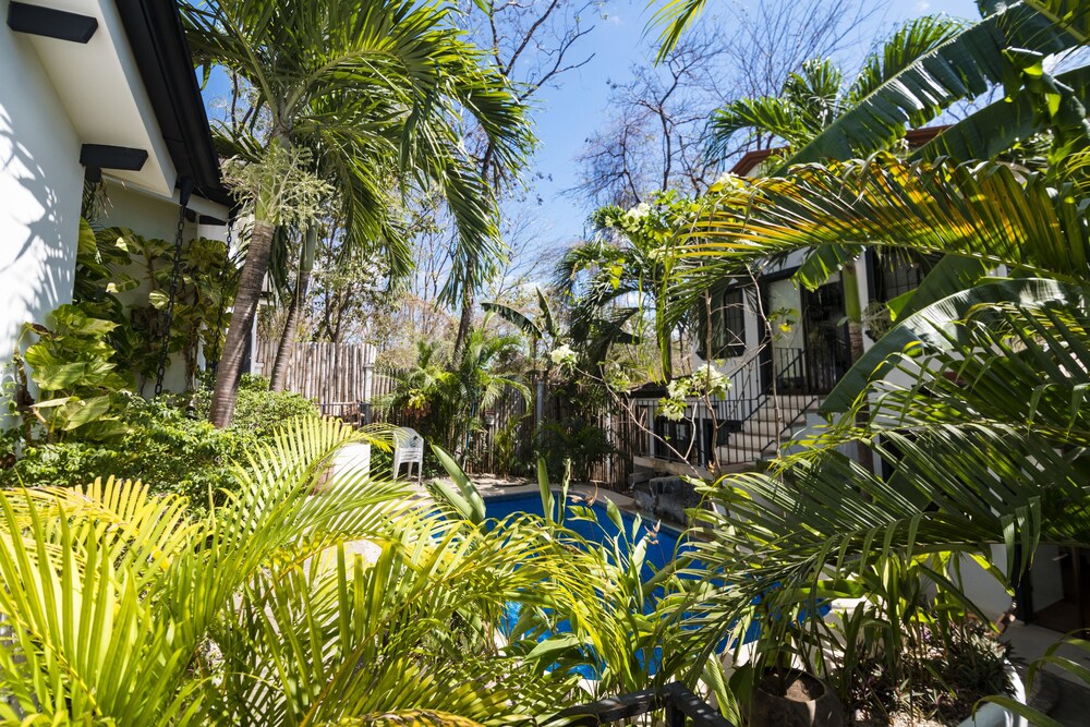 Deluxe Cottage, 1 Bedroom, Pool View, Poolside - Terrace/Patio
