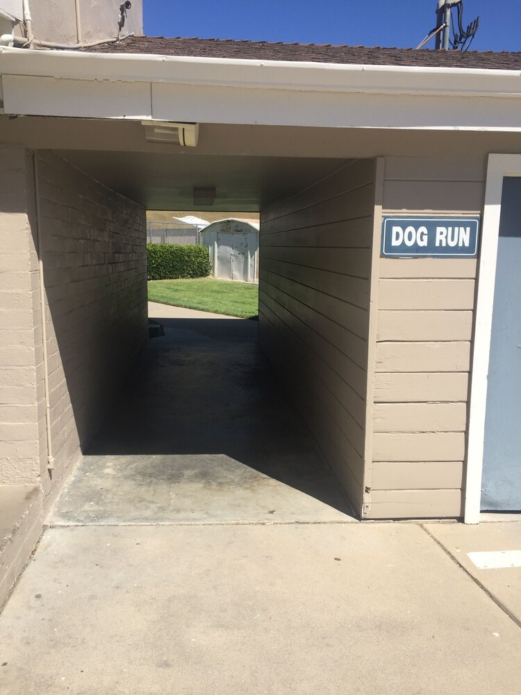 Pet-Friendly