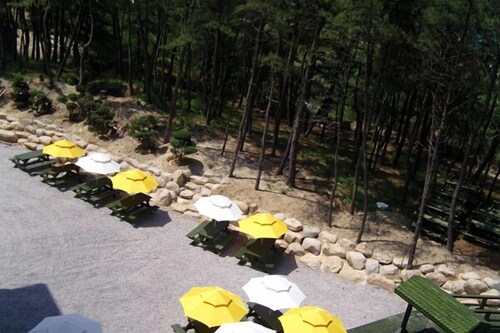 BBQ/피크닉 공간