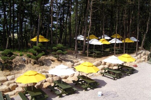 BBQ/피크닉 공간