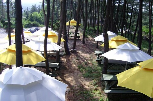 BBQ/피크닉 공간