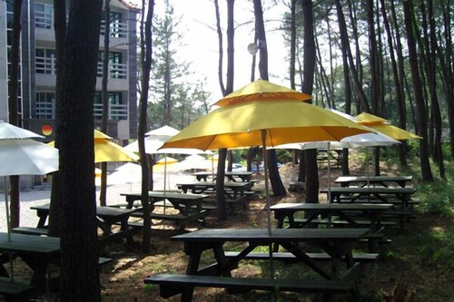 BBQ/피크닉 공간