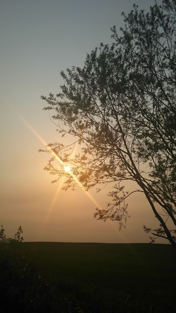 거리 전망