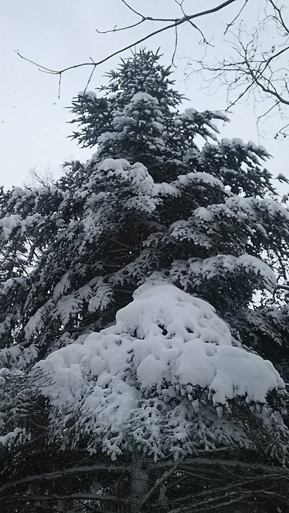 거리 전망