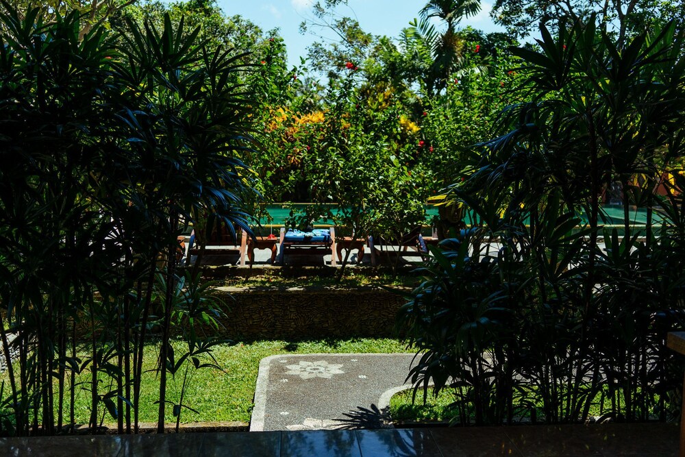 Guestroom View