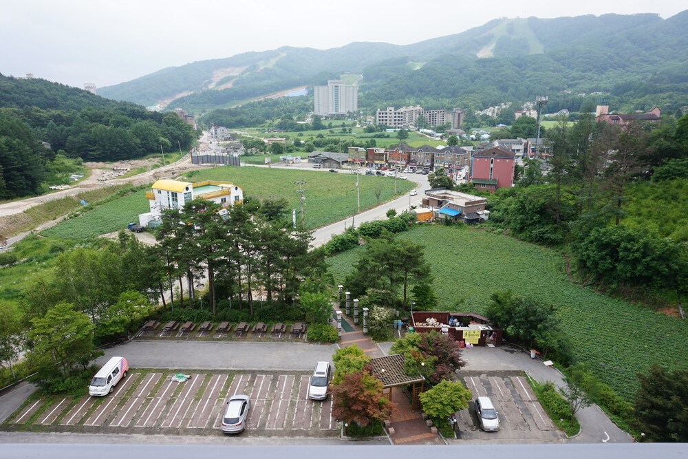 조감도