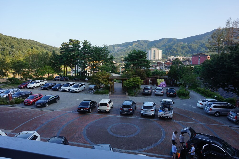 주차
