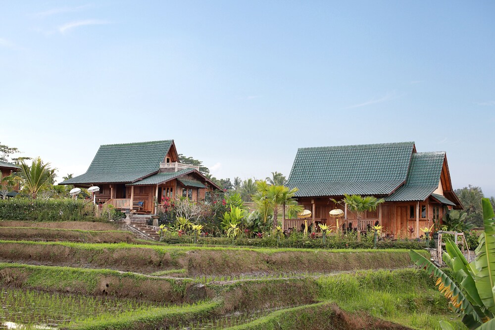 วิวสวน